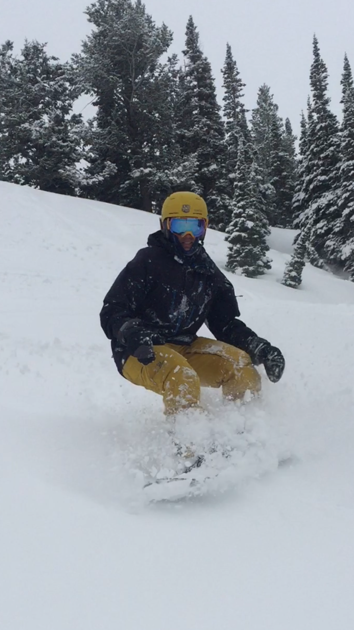Person snowboarding downhill in snowy forest.