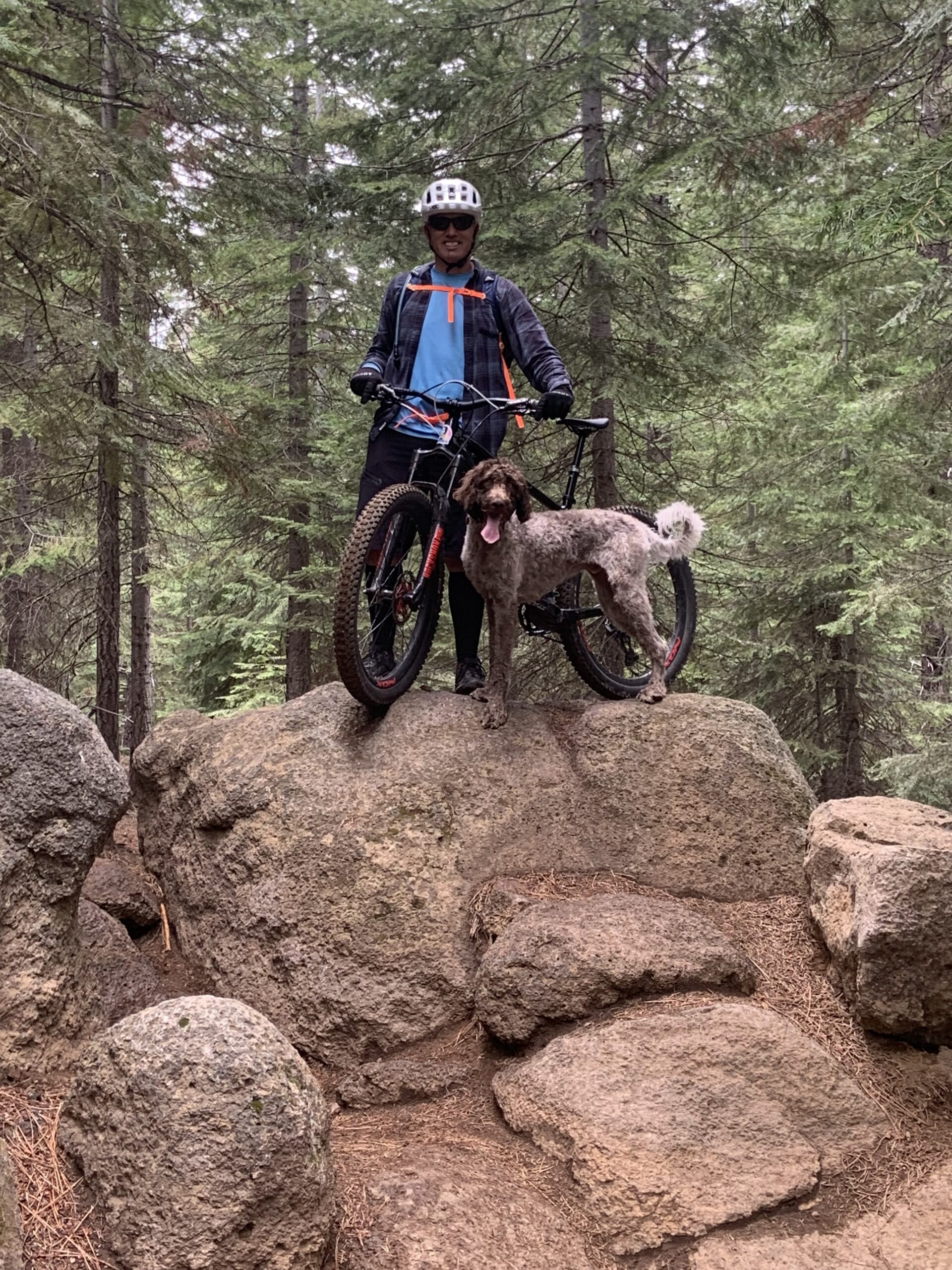 A person with a bicycle standing on a large rock next to a dog in a forest.